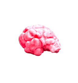 Brain Icon